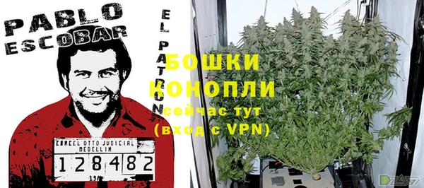 не бодяженный Горнозаводск